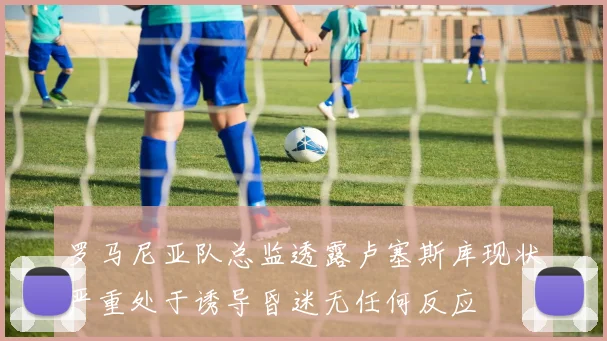 罗马尼亚队总监透露卢塞斯库现状严重处于诱导昏迷无任何反应