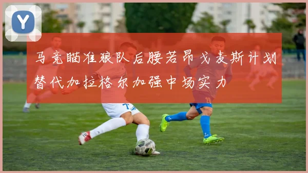 马竞瞄准狼队后腰若昂戈麦斯计划替代加拉格尔加强中场实力