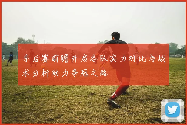 季后赛前瞻开启各队实力对比与战术分析助力争冠之路
